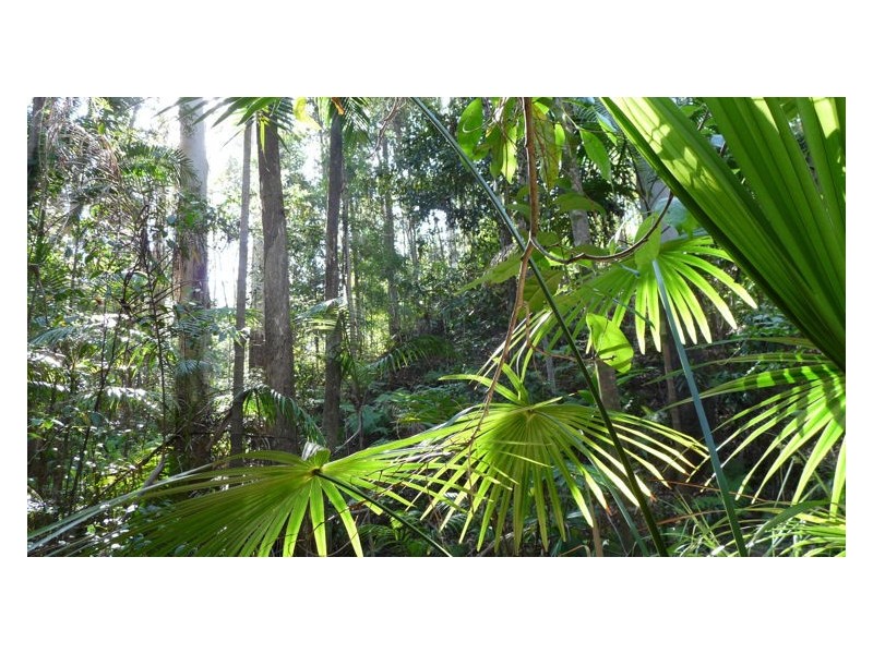 Lot 3 Isambert Road, Glenview QLD 4553