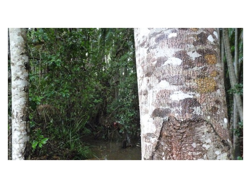 Lot 3 Isambert Road, Glenview QLD 4553