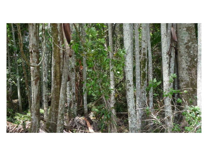 Lot 3 Isambert Road, Glenview QLD 4553