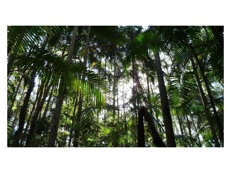 Lot 3 Isambert Road, Glenview QLD 4553