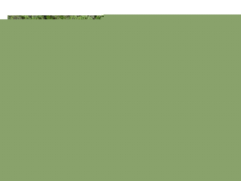 118 Browns Creek Road, Yandina QLD 4561