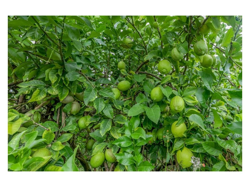 68 Kromes Road, North Arm QLD 4561