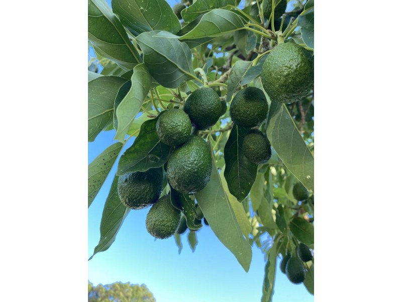 68 Kromes Road, North Arm QLD 4561