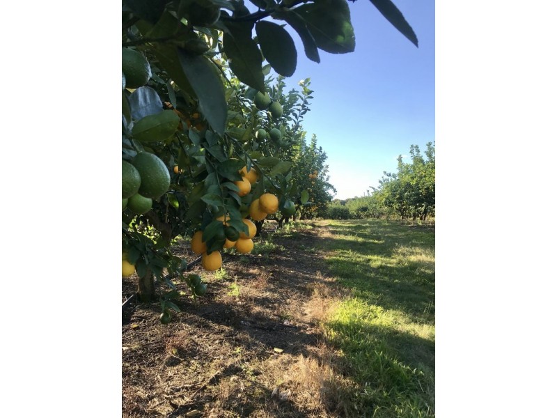 68 Kromes Road, North Arm QLD 4561