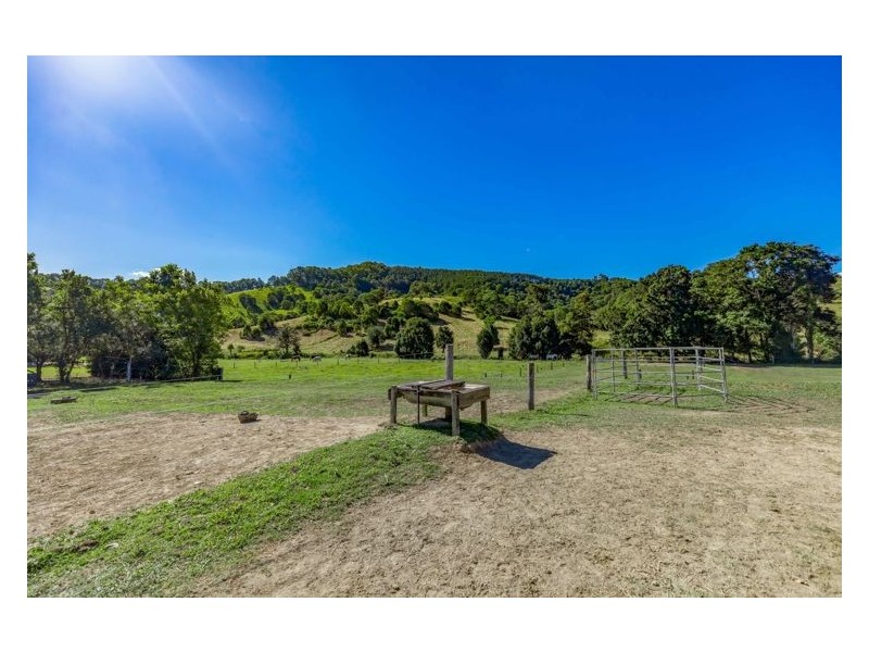 157 Middle Creek Road, Federal QLD 4568