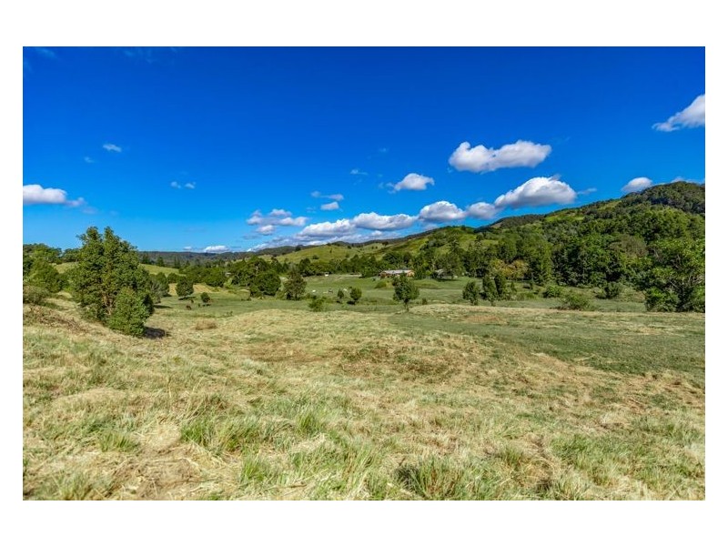 157 Middle Creek Road, Federal QLD 4568