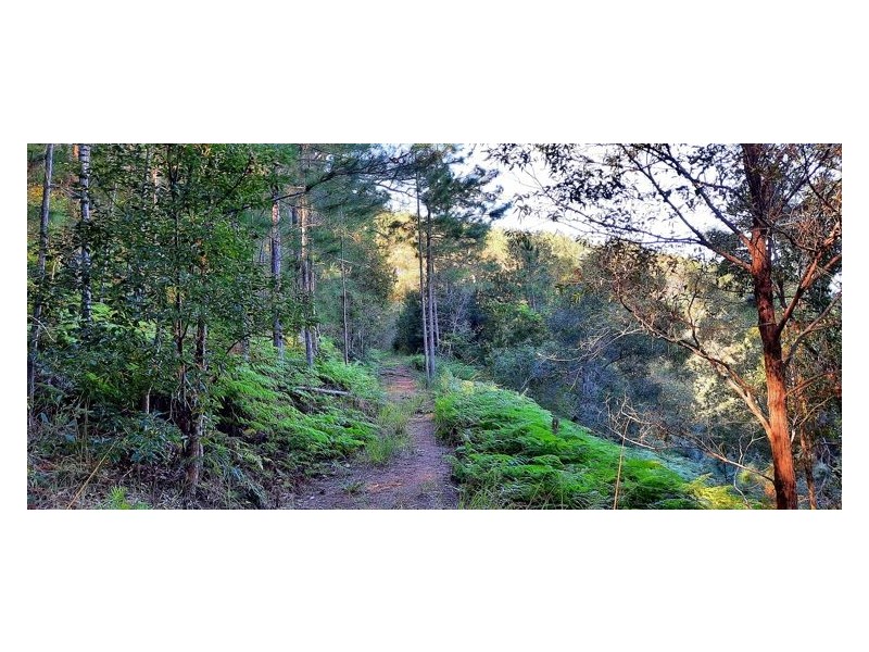 157 Middle Creek Road, Federal QLD 4568