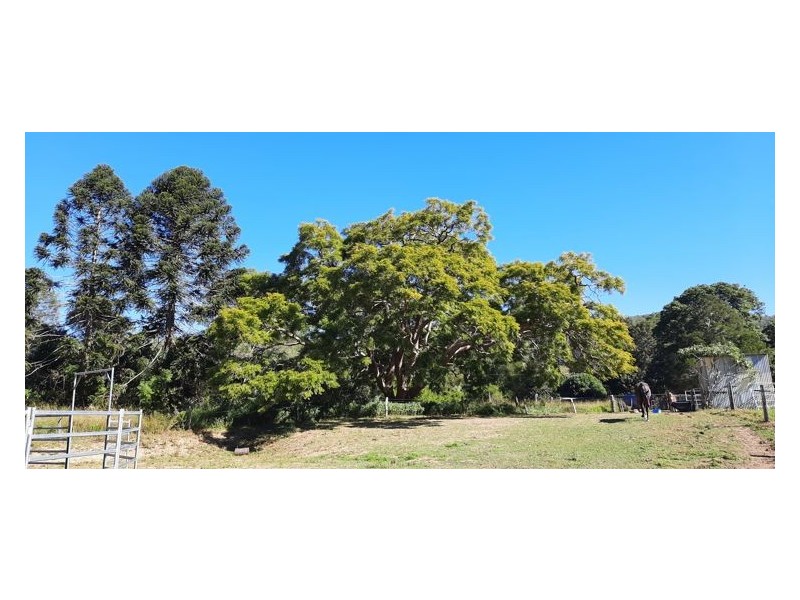 157 Middle Creek Road, Federal QLD 4568