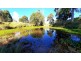 157 Middle Creek Road, Federal QLD 4568