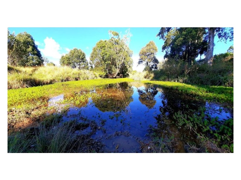 157 Middle Creek Road, Federal QLD 4568