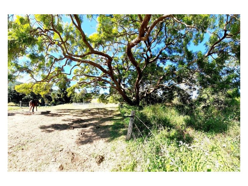 157 Middle Creek Road, Federal QLD 4568