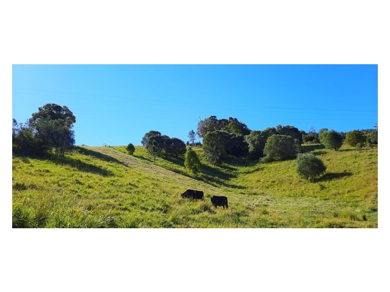 157 Middle Creek Road, Federal QLD 4568