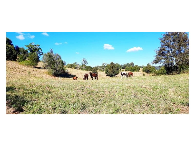 157 Middle Creek Road, Federal QLD 4568