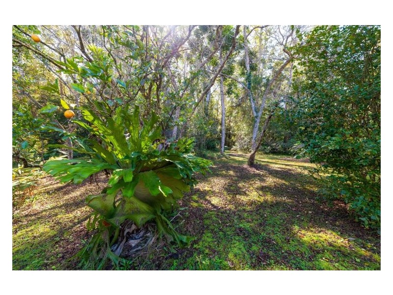 1278 Eumundi Noosa Road, Verrierdale QLD 4562