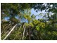 1278 Eumundi Noosa Road, Verrierdale QLD 4562