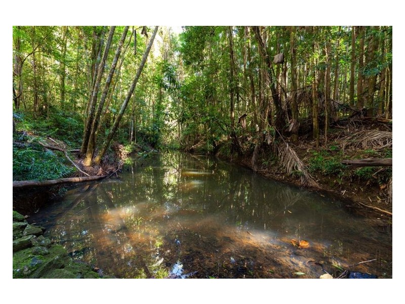 1278 Eumundi Noosa Road, Verrierdale QLD 4562