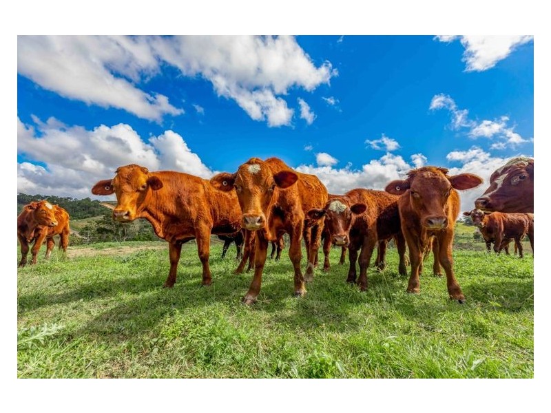Lot 9 Lawrence Road, Carters Ridge QLD 4563