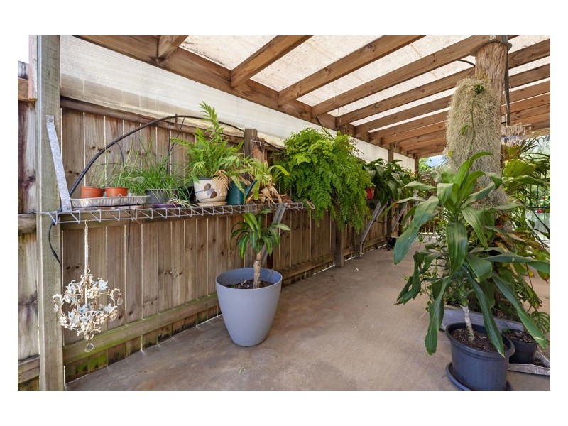 15 Quondong Court, Yandina QLD 4561