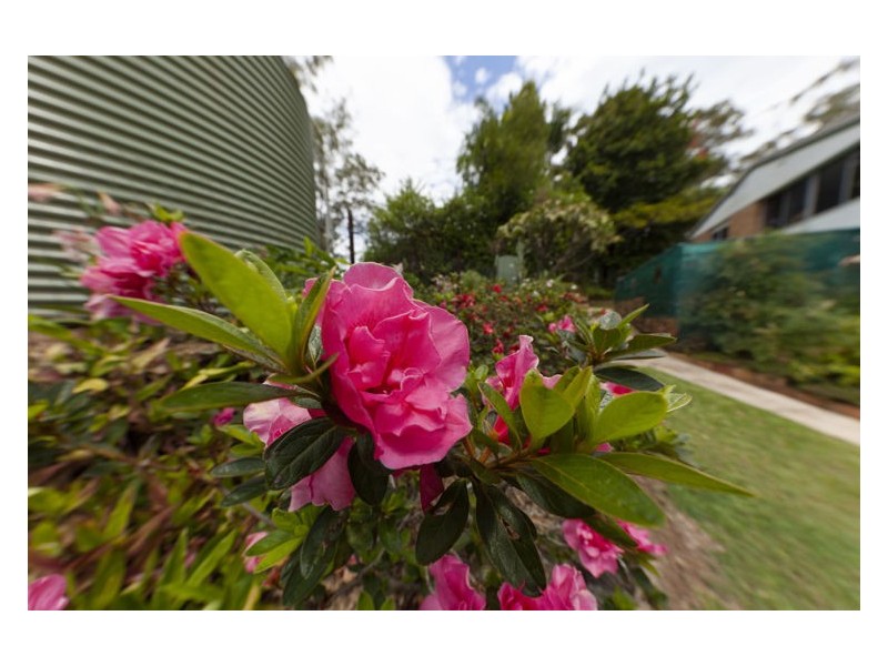 101 Towen Mount Road, Towen Mountain QLD 4560