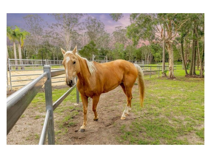 59 Ayrshire Road, Yandina QLD 4561