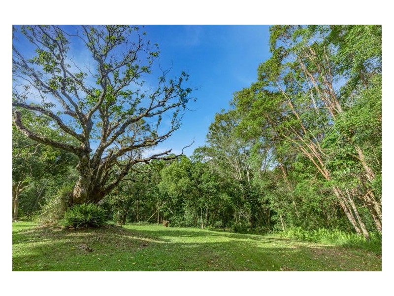 25 Elouera Drive, Ninderry QLD 4561