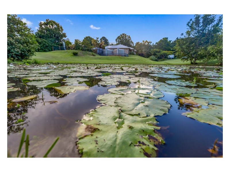 11 Belvedere Place, Maroochy River QLD 4561