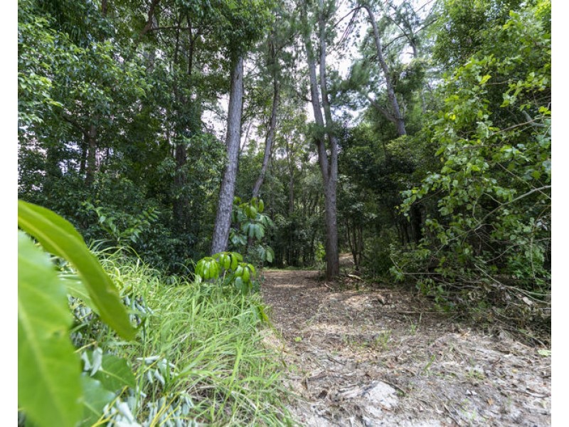 341 Diddillibah Road, Diddillibah QLD 4559