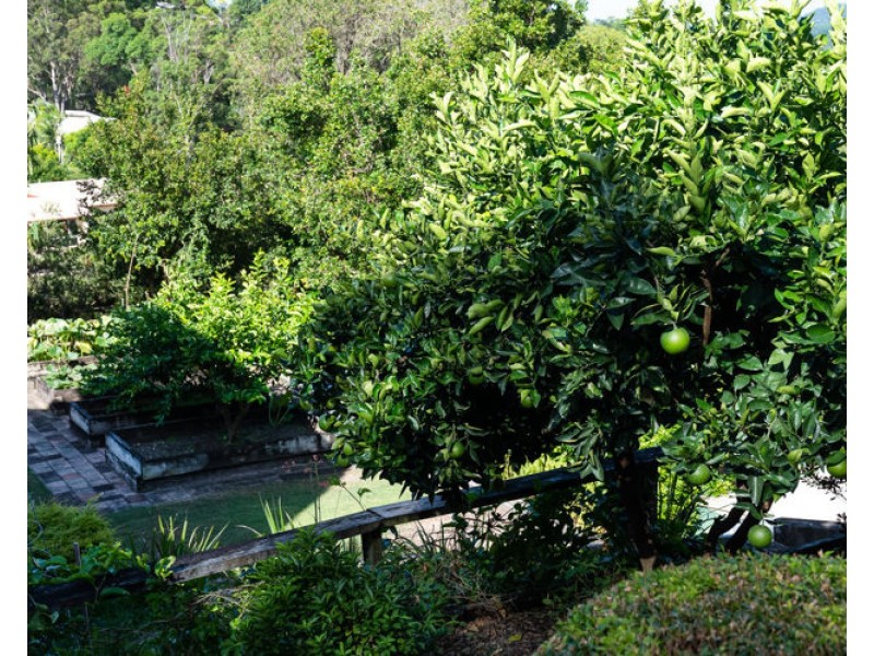 63 Lachlan Avenue, Nambour QLD 4560