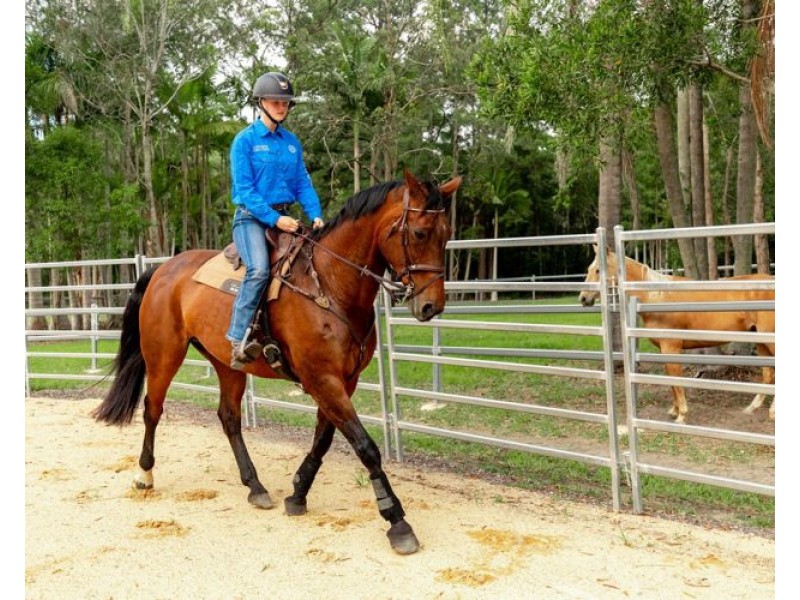 59 Ayrshire Road (Lot 3 on RP 226581), Yandina QLD 4561