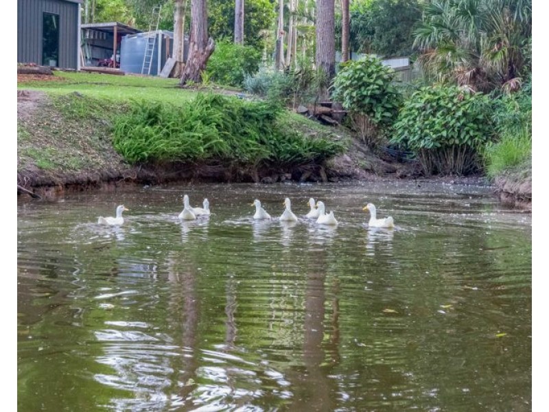 9 Glenrowan Close, Kulangoor QLD 4560