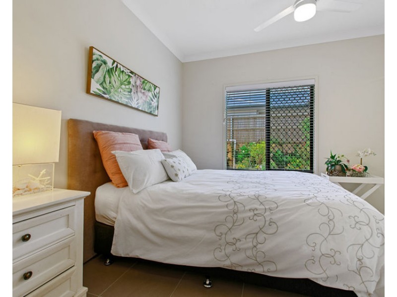 31 Citron Place, Palmwoods QLD 4555
