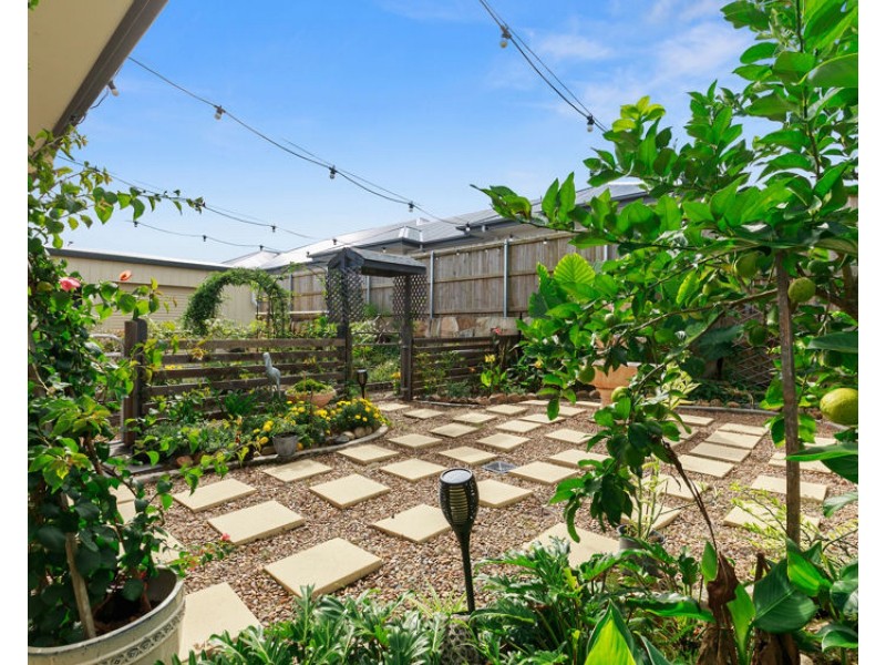 31 Citron Place, Palmwoods QLD 4555