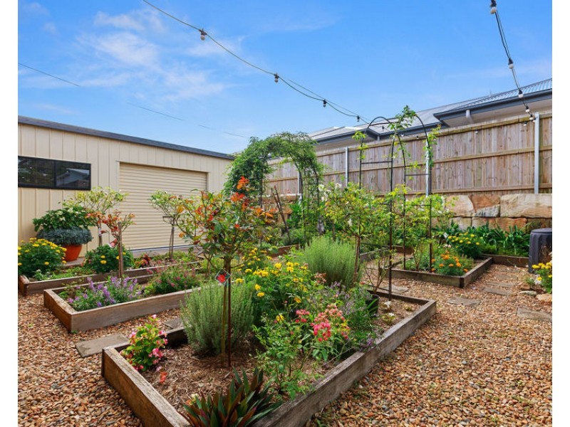31 Citron Place, Palmwoods QLD 4555