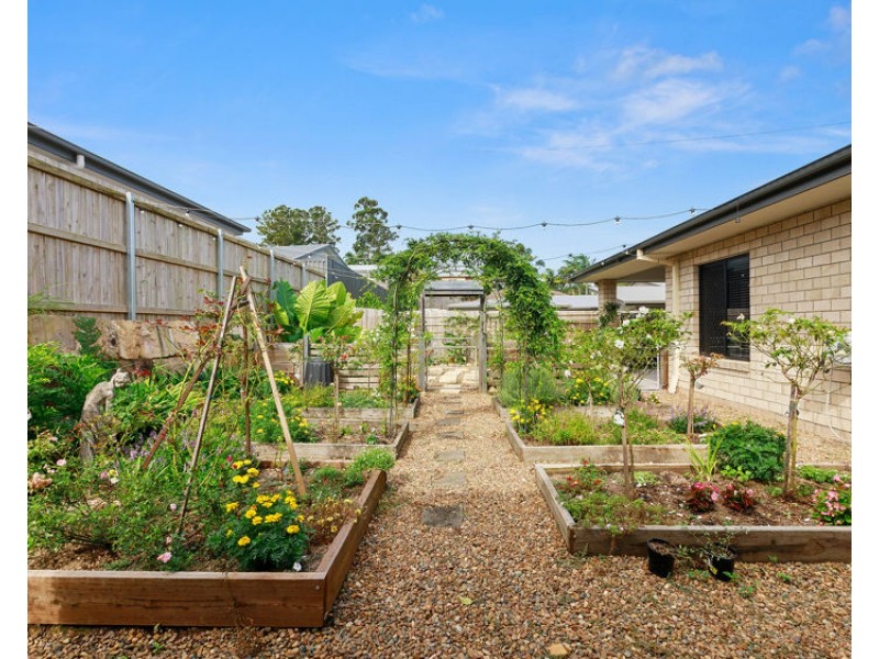 31 Citron Place, Palmwoods QLD 4555