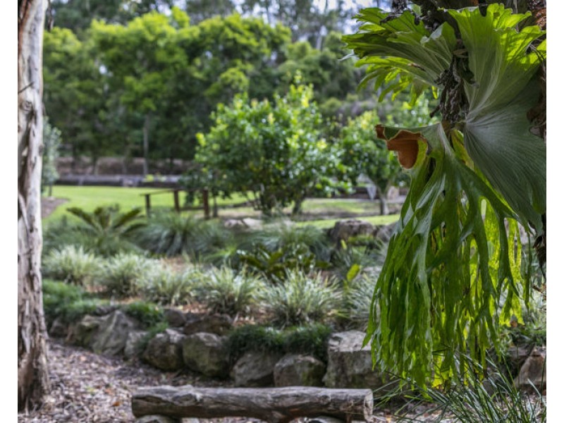 364 Image Flat Road, Image Flat QLD 4560