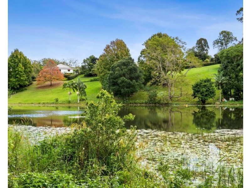 58 Akala Street, Flaxton QLD 4560