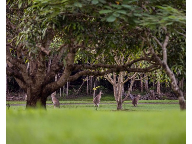 16 Gallaghers Road, Tanawha QLD 4556