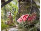 6 Benji Court, Nambour QLD 4560