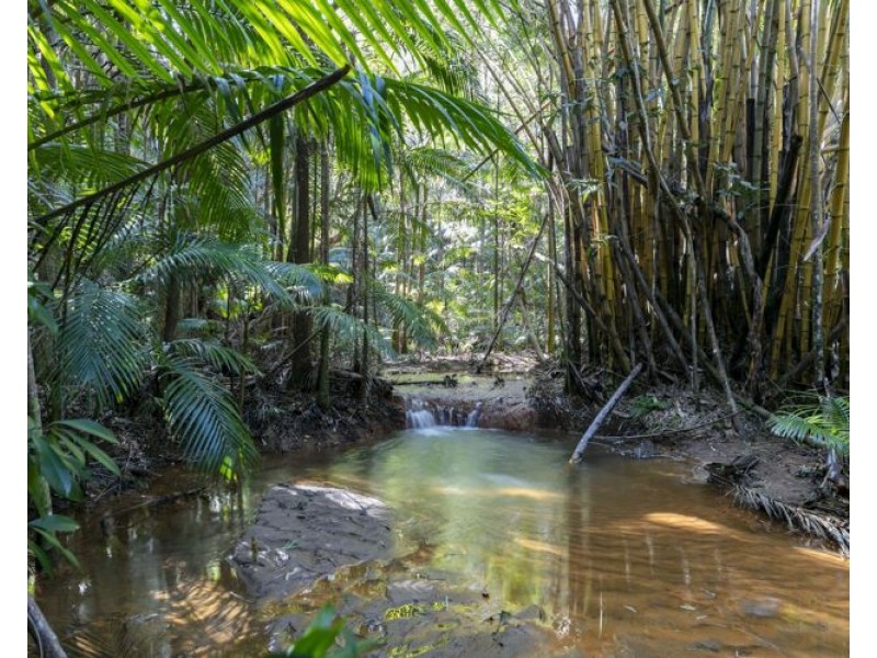 123 McKees Road, Palmwoods QLD 4555