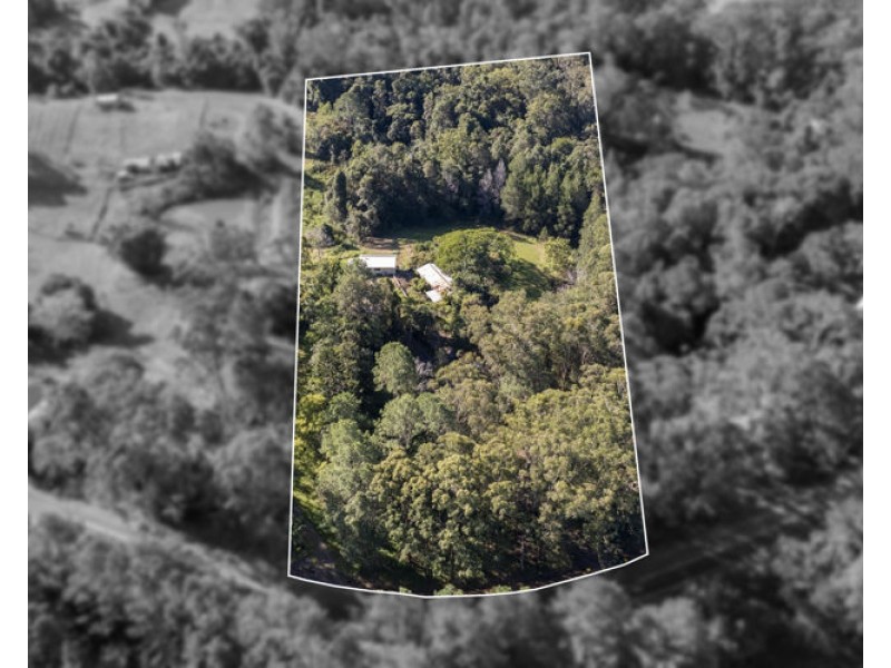 123 McKees Road, Palmwoods QLD 4555