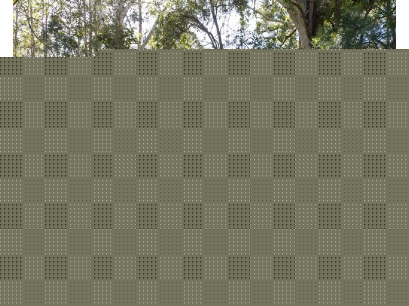 123 McKees Road, Palmwoods QLD 4555