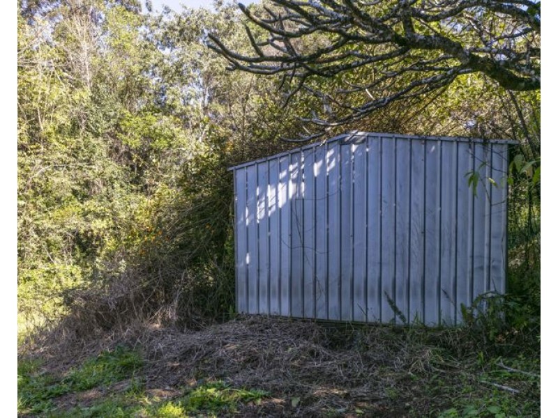 123 McKees Road, Palmwoods QLD 4555