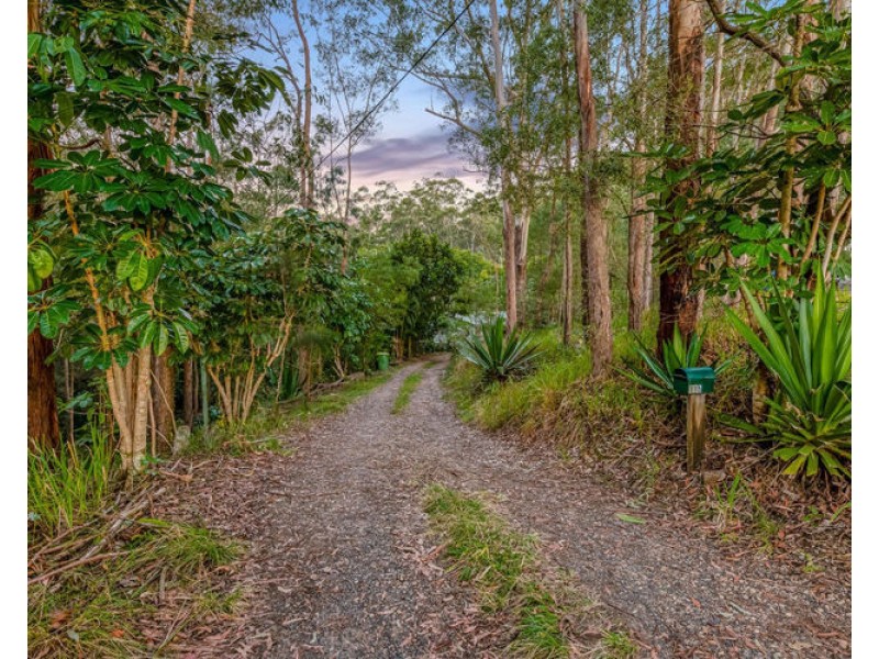 115 Rainforest Road, Tanawha QLD 4556