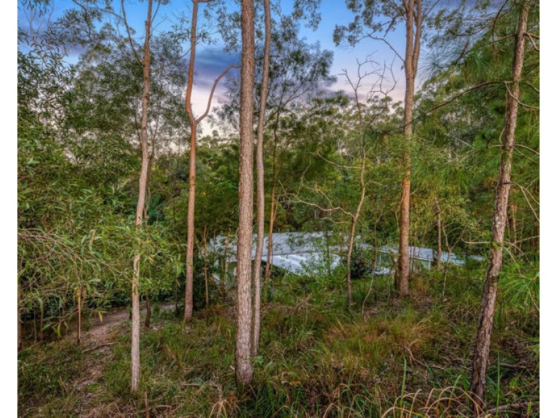 115 Rainforest Road, Tanawha QLD 4556