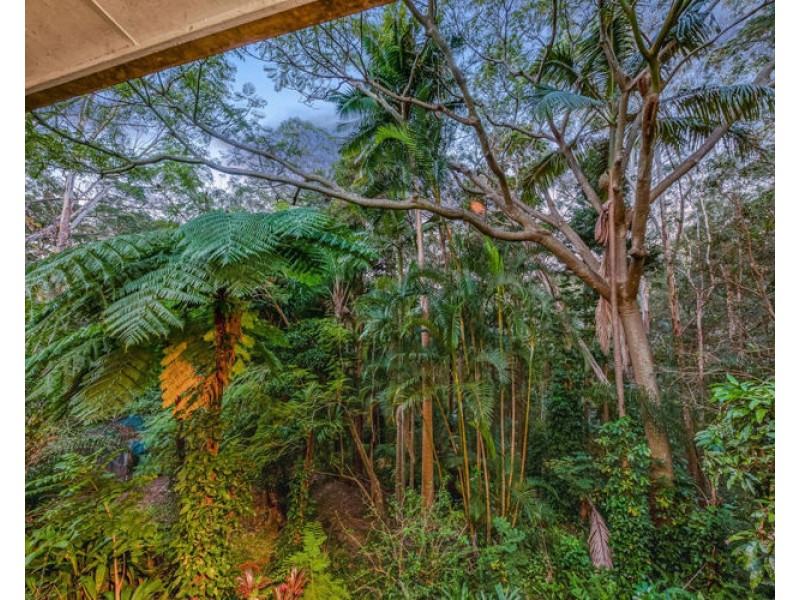 115 Rainforest Road, Tanawha QLD 4556