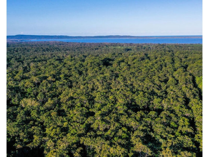 436 Lake Flat Road, Cootharaba QLD 4565