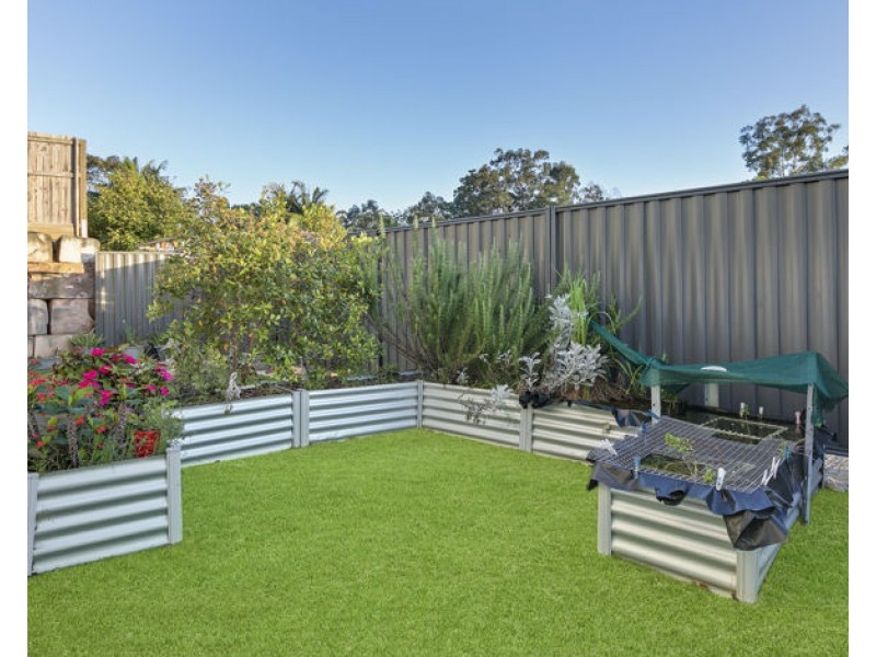 54 Abbotts Road, Palmwoods QLD 4555