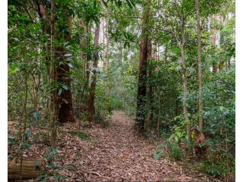 28 Fernhill Place, Diddillibah QLD 4559