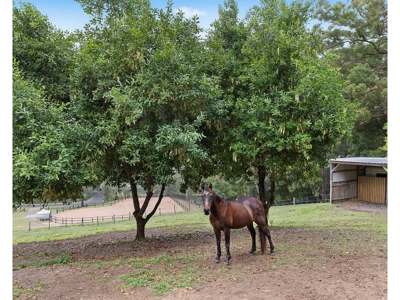 116 Andersons Road, Yandina QLD 4561