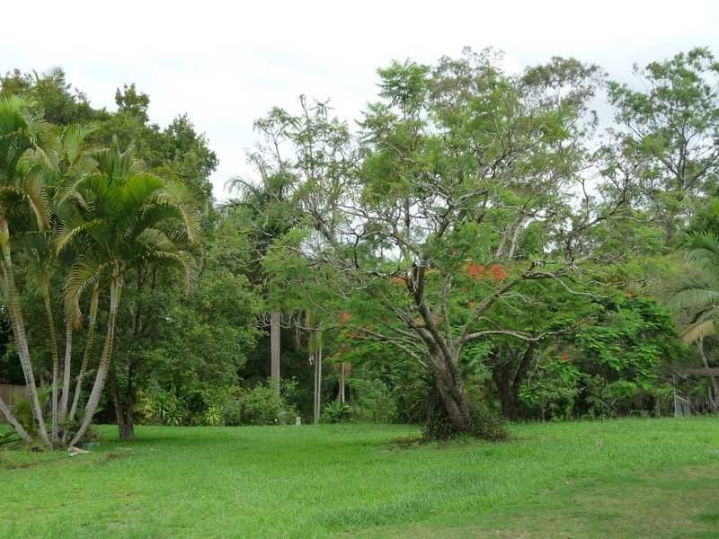 19 Oleander Drive, Nambour QLD 4560